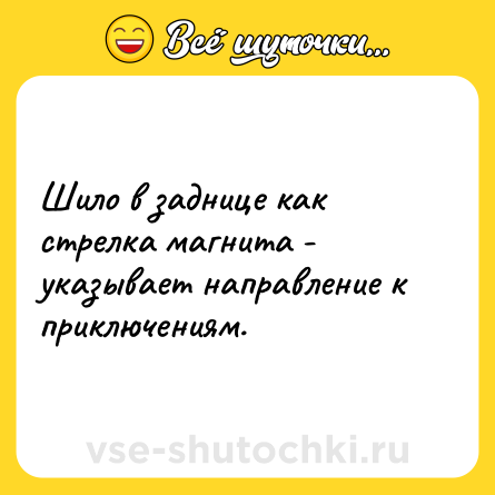 Шутка: Шило в заднице как стрелка магнита - указывает направление к приключениям.