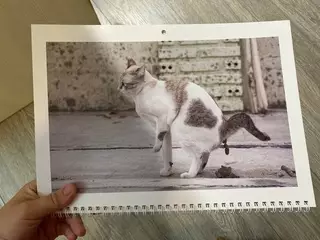 продолжение Смешная картинка №707936 Ура, я получил идеальный подарок на НГ!