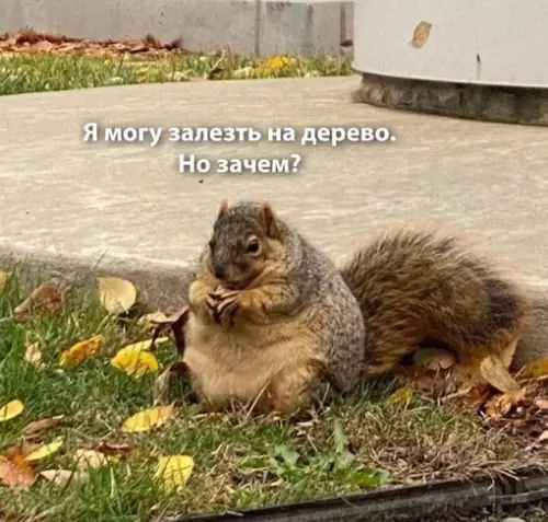 Смешная картинка №689544