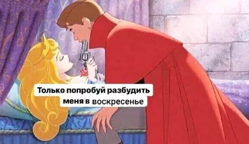 Не буди спящую красавицу в воскресенье! 😴🔫 - Только попробуй разбудить меня в воскресенье
