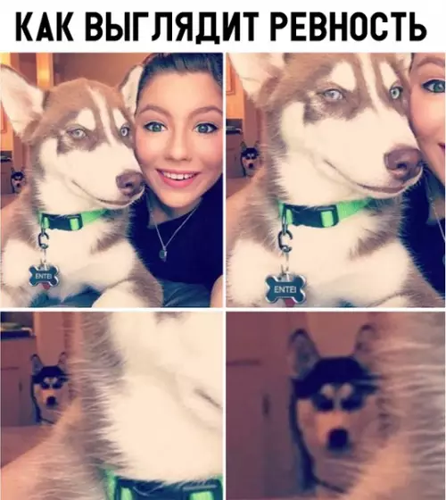 Смешная картинка №325914