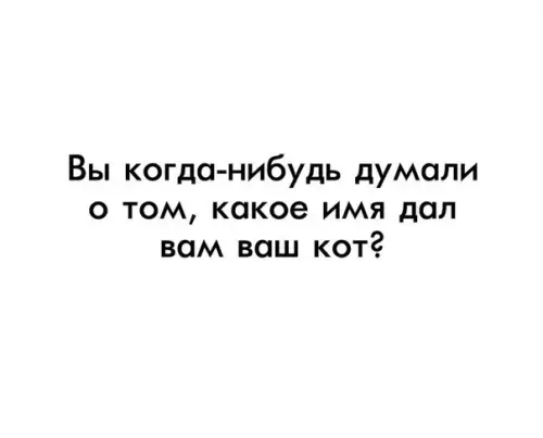 Смешная картинка №345291 ??