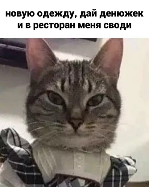продолжение Смешная картинка №625826 Coкpoвищe, a нe дeвyшкa