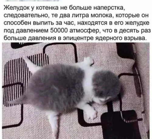 Смешная картинка №708995