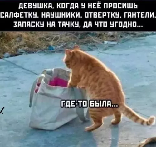 Смешная картинка №782948