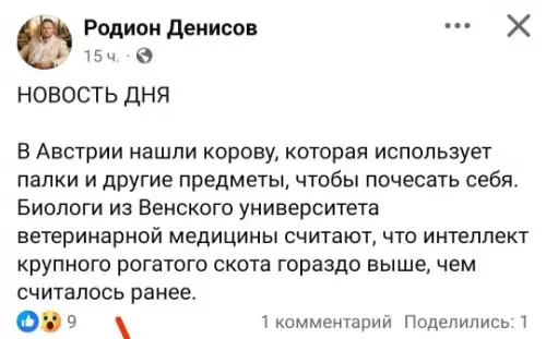 Смешная картинка №800115