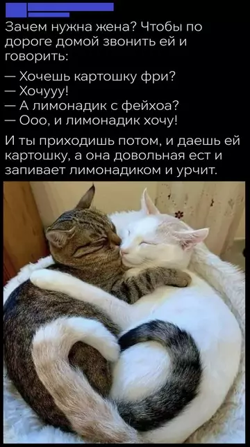 Смешная картинка №751832