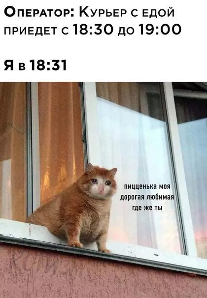 Смешная картинка №593737