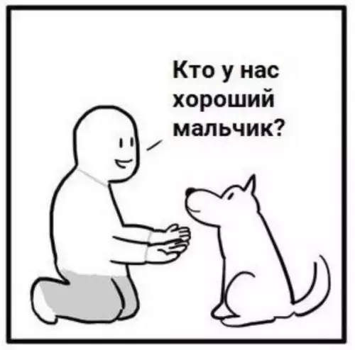 Смешная картинка №527720 Так и живем