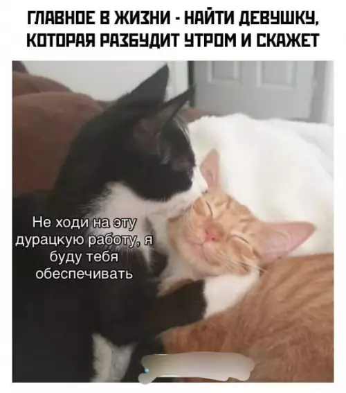 Главное в жизни