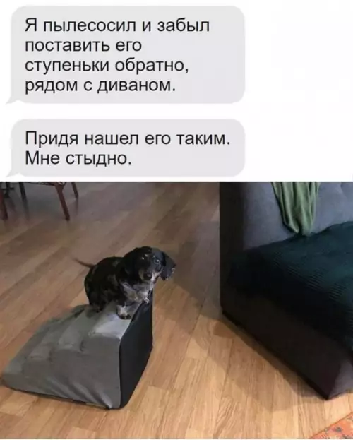 Смешная картинка №655558