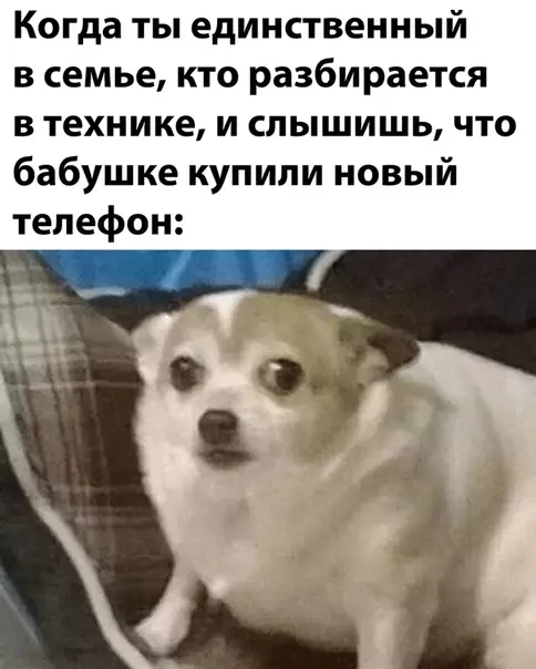 Смешная картинка №512402