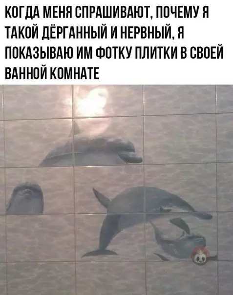 Смешная картинка №493949 Перфекционист бы плакал каждый раз, заходя в туалет ?