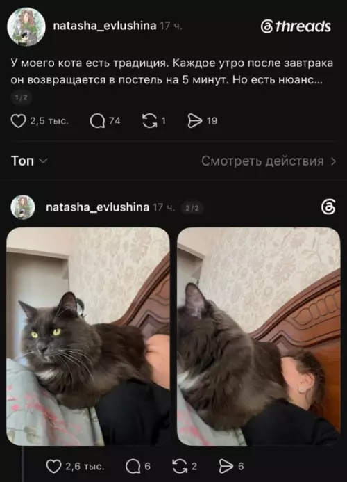 Утренние ритуалы твоего кота 🐈‍⬛ - У моего кота есть традиция. Каждое утро после завтрака он