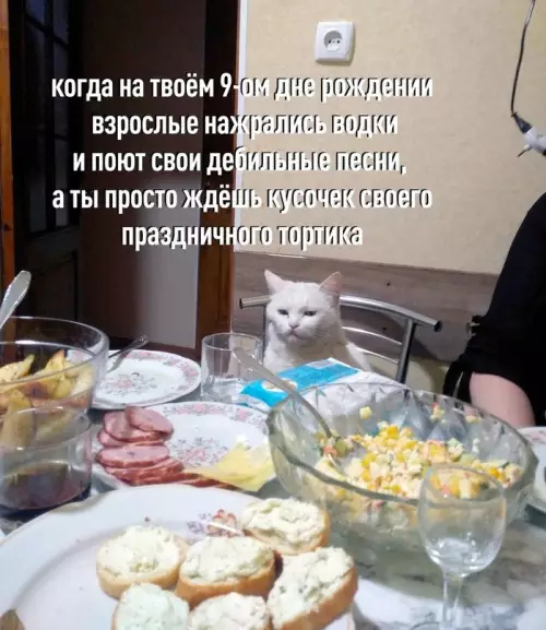 Смешная картинка №616269