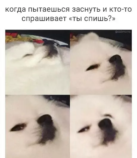 Смешная картинка №292728