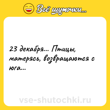 Шутка: 23 декабря... Птицы, матерясь, возвращаются с юга...