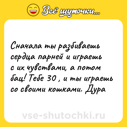 Шутка: Сначала ты разбиваешь сердца парней и играешь с их чувствами, а потом бац! Тебе 30 , и ты играешь со своими кошками. Дура