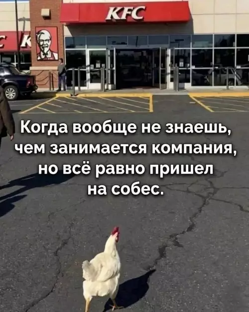 Смешная картинка №809792