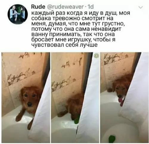 Смешная картинка №241123
