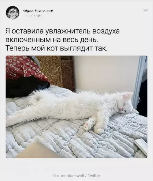 Смешная картинка №696561
