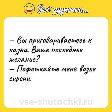 Шутка: — Вы приговариваетесь к казни. Ваше последнее желание?<br>— Пофоткайте меня возле сирени.