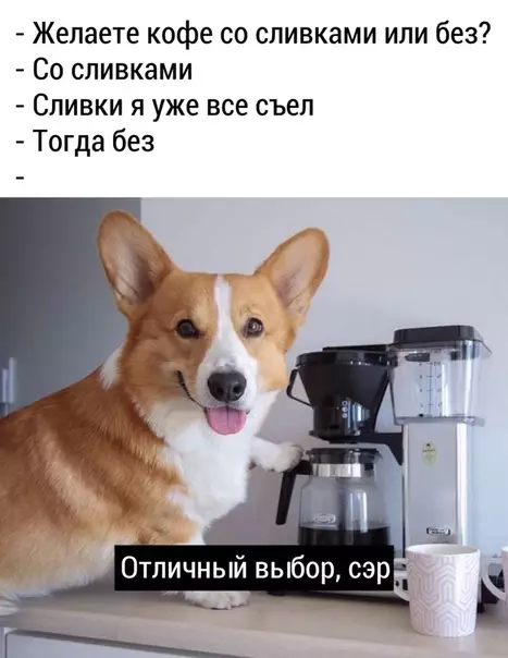 Смешная картинка №479270