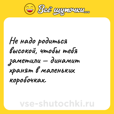 Шутка: Не надо родиться высокой, чтобы тебя заметили — динамит хранят в маленьких коробочках.
