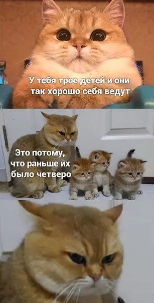 Смешная картинка №503477 Какая злая