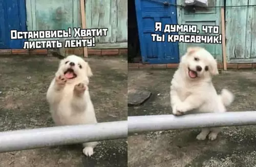 Смешная картинка №409111