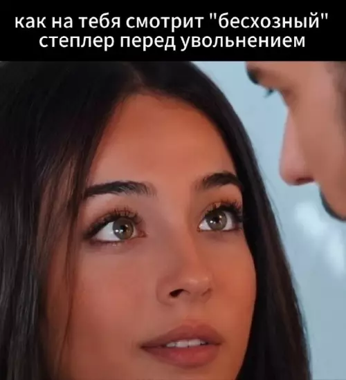 Прощальный взгляд степлера 🥹📎 - как на тебя смотрит бесхозный степлер перед увольнением
