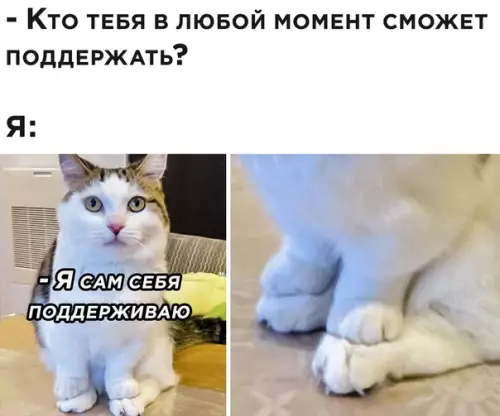 Смешная картинка №534233