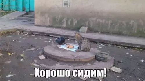 Смешная картинка №256278