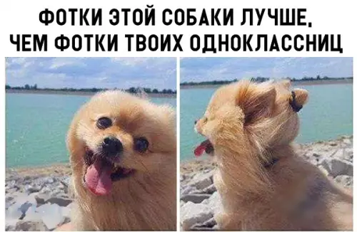 Смешная картинка №299115