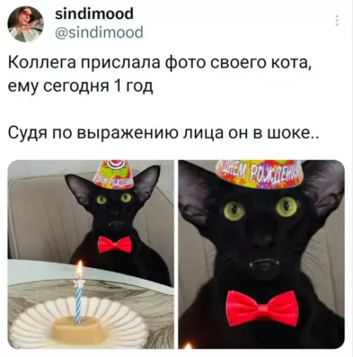 Смешная картинка №796718