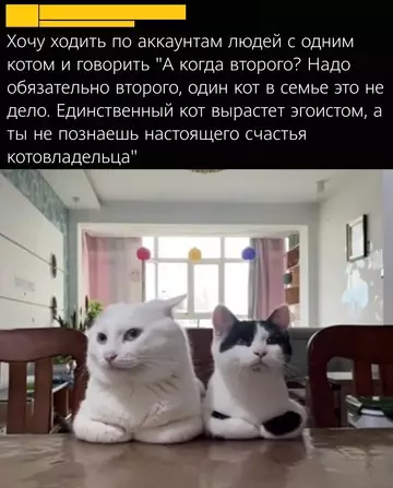 Смешная картинка №772058