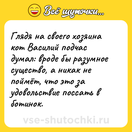 Шутка: Глядя на своего хозяина кот Василий подчас думал: вроде бы разумное существо, а никак не поймёт, что это за удовольствие поссать в ботинок.
