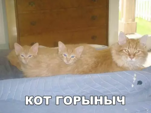 Смешная картинка №267876