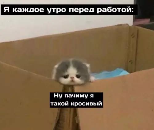 Смешная картинка №664394