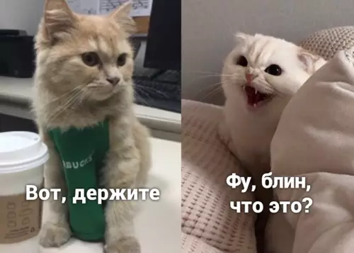 продолжение Смешная картинка №641251 Bceм нe yгодишь