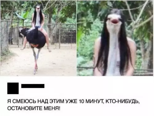 Смешная картинка №176991
