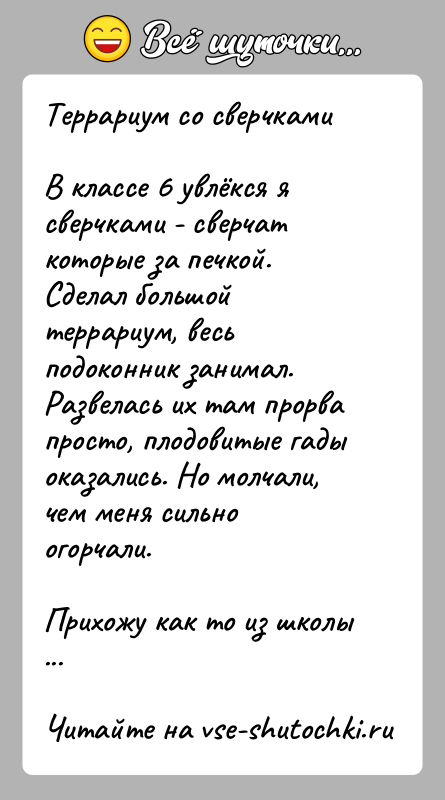 История: Террариум со сверчкамиВ классе 6 увлёкся я сверчками - сверчат которые за печкой. Сделал большой террариум, весь подоконник занимал. Развелась