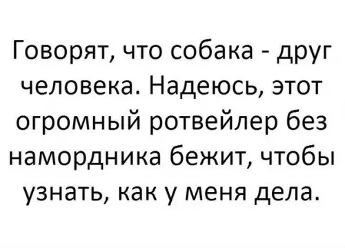 Смешная картинка №294893