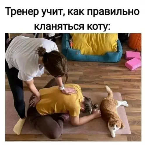 Смешная картинка №781466