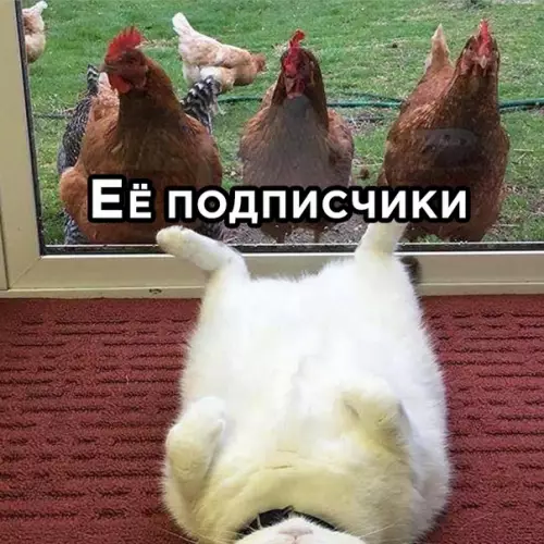 продолжение Смешная картинка №585785