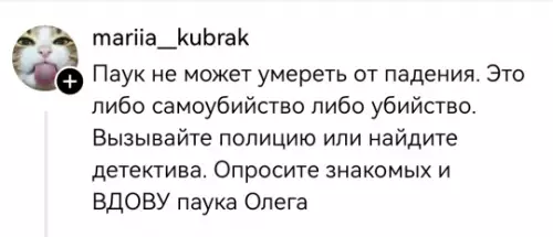 продолжение Смешная картинка №799442