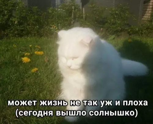 Когда солнце решило тебя спасти ☀️ - может жизнь не так уж и плоха (сегодня вышло солнышко)