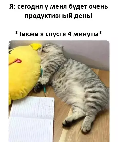 Планы на день vs Реальность 😴 - Я: сегодня у меня будет очень продуктивный день! Также я