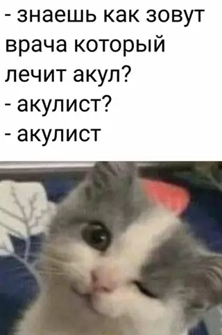 Смешная картинка №651126