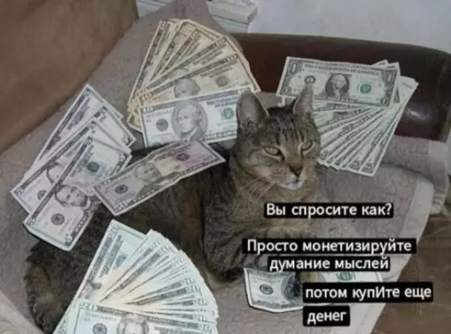 Кот и доллары - Вы спросите как? Просто монетизируйте думание мыслей потом купите еще